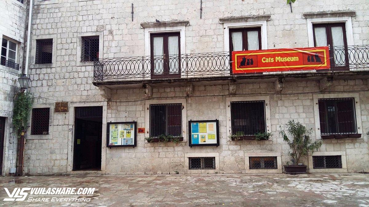 Tới thăm bảo tàng mèo, bãi biển, di sản cổ kính của thành phố Kotor, Montenegro- Ảnh 5.