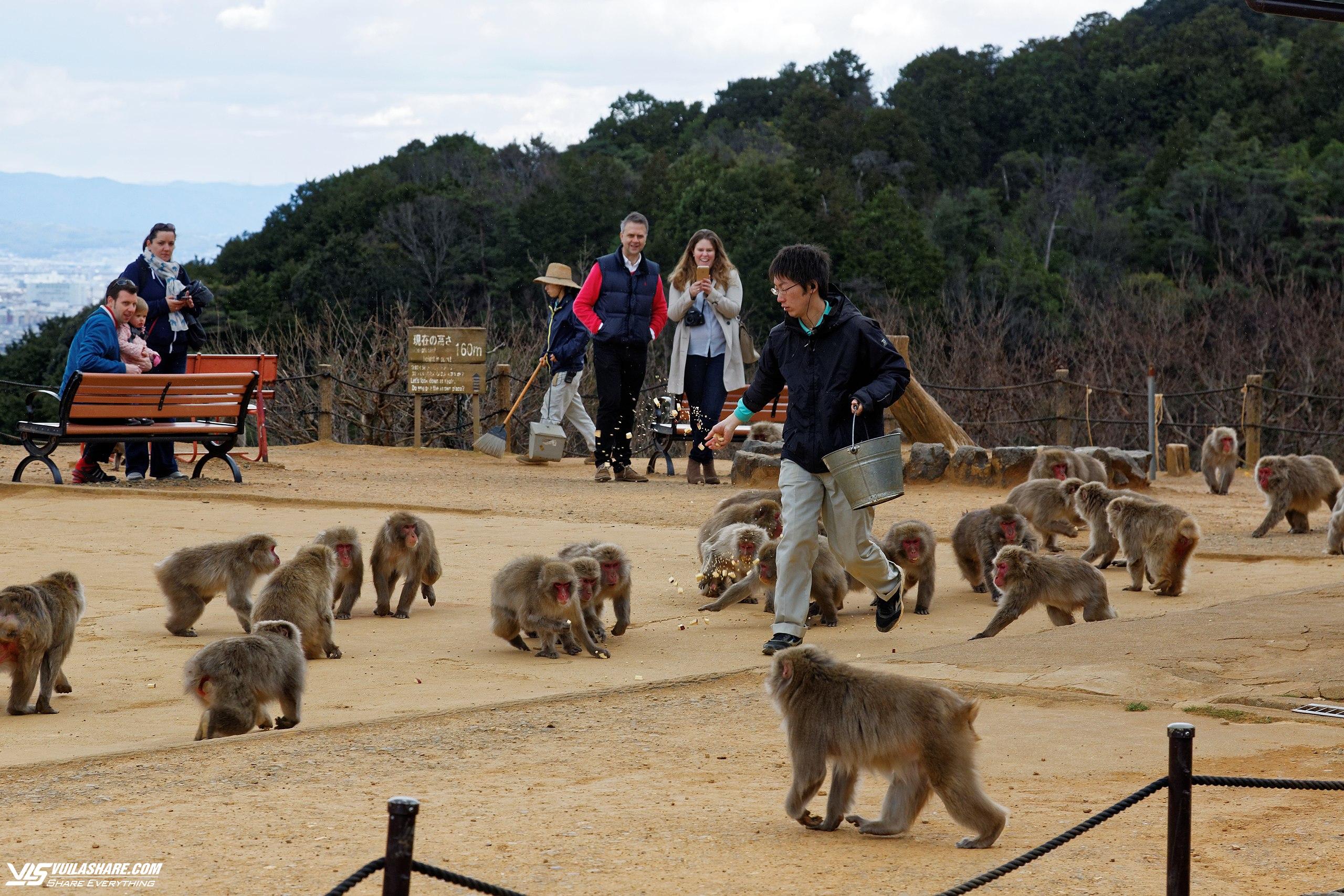 Những vườn thú và công viên thủy cung nổi tiếng tại Nhật Bản- Ảnh 3.