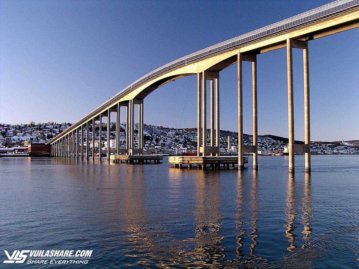 Những cầu cây 'độc lạ' tại Na Uy khiến du khách trầm trồ- Ảnh 1.