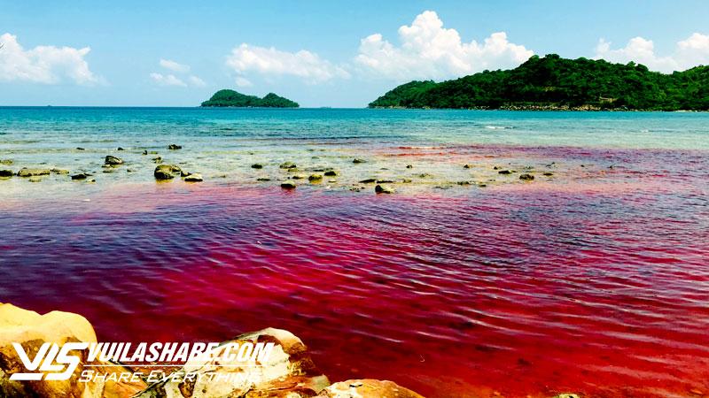 Kiên Giang: 'Thủy triều đỏ' xuất hiện tại đảo Thổ Châu- Ảnh 1.