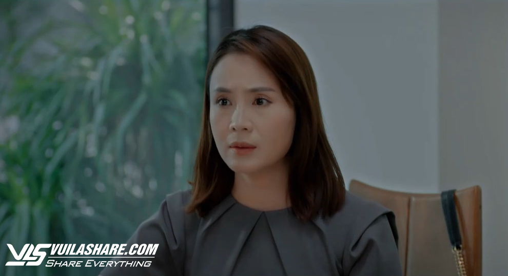 Khán giả bình phim Việt: Đừng so sánh diễn xuất của Hồng Diễm với Lương Thu Trang- Ảnh 2.