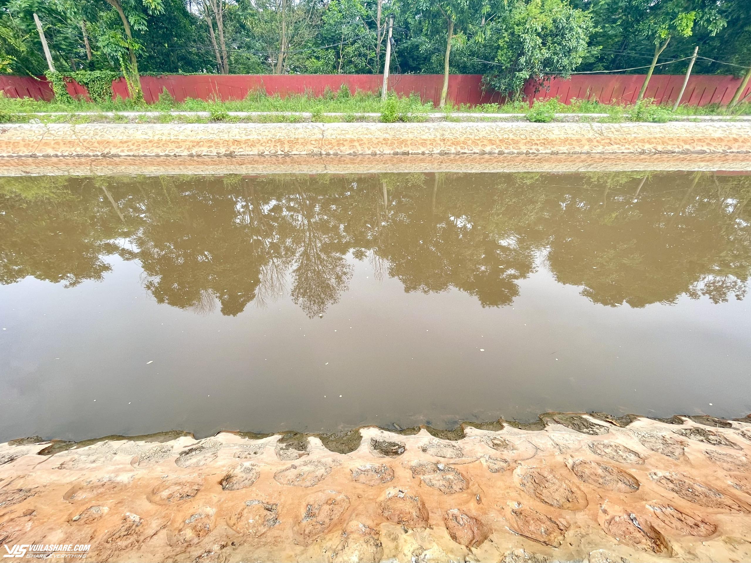 Nước thải khu công nghiệp nhuộm hồng con kênh đổ ra sông Bắc Hưng Hải- Ảnh 6.