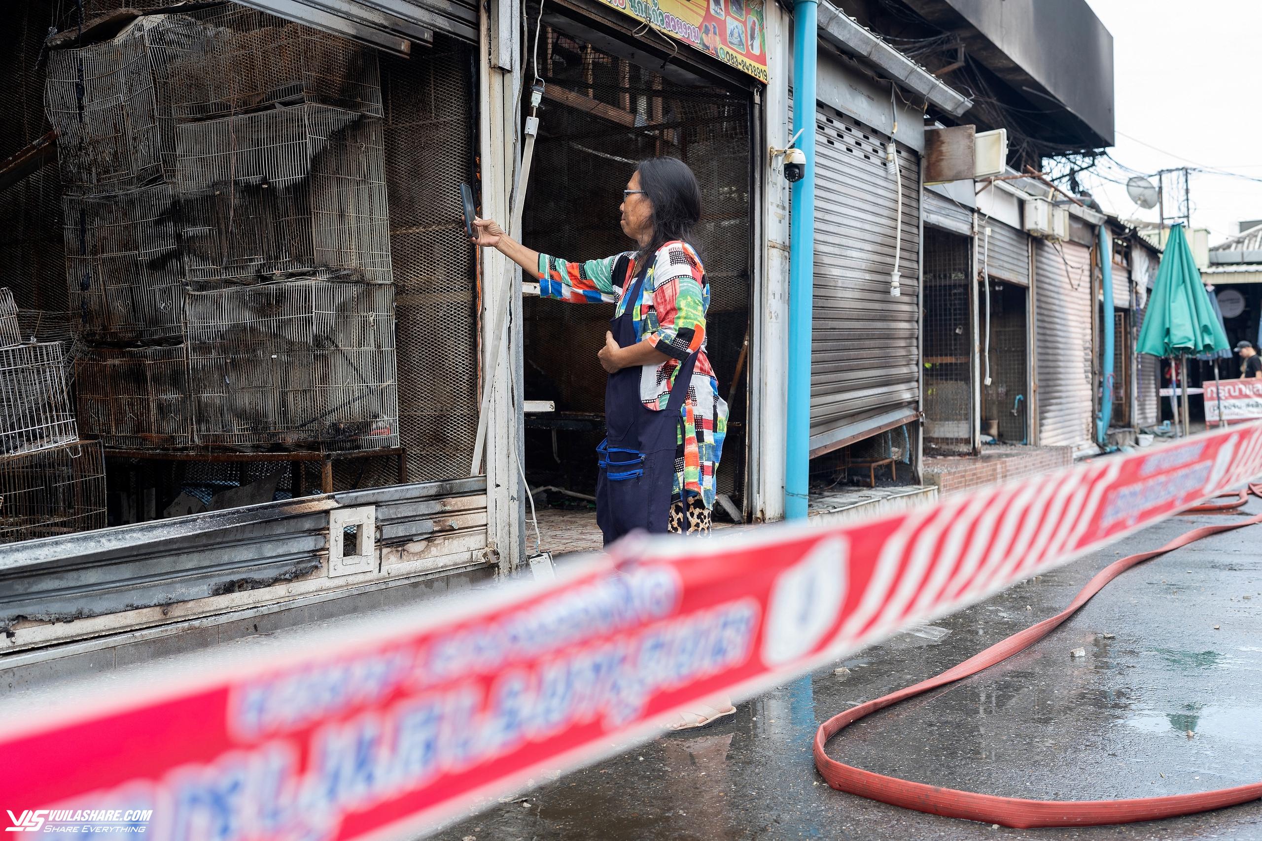 Cháy chợ thú cưng nổi tiếng tại Bangkok, hàng ngàn con vật bị chết- Ảnh 8.