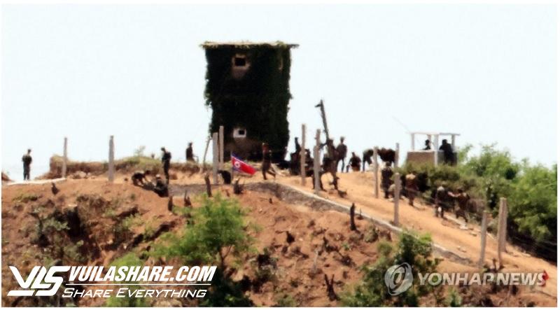 Hoạt động lạ của quân đội Triều Tiên trong khu phi quân sự liên Triều- Ảnh 1.