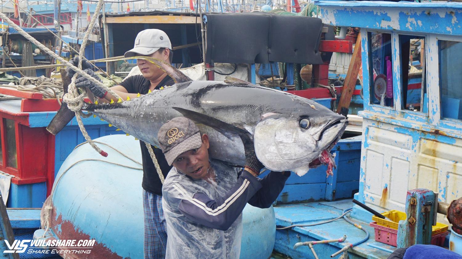 Nhiều đầu bếp nổi tiếng thế giới sẽ trổ tài chế biến cá ngừ đại dương ở Bình Định- Ảnh 2.