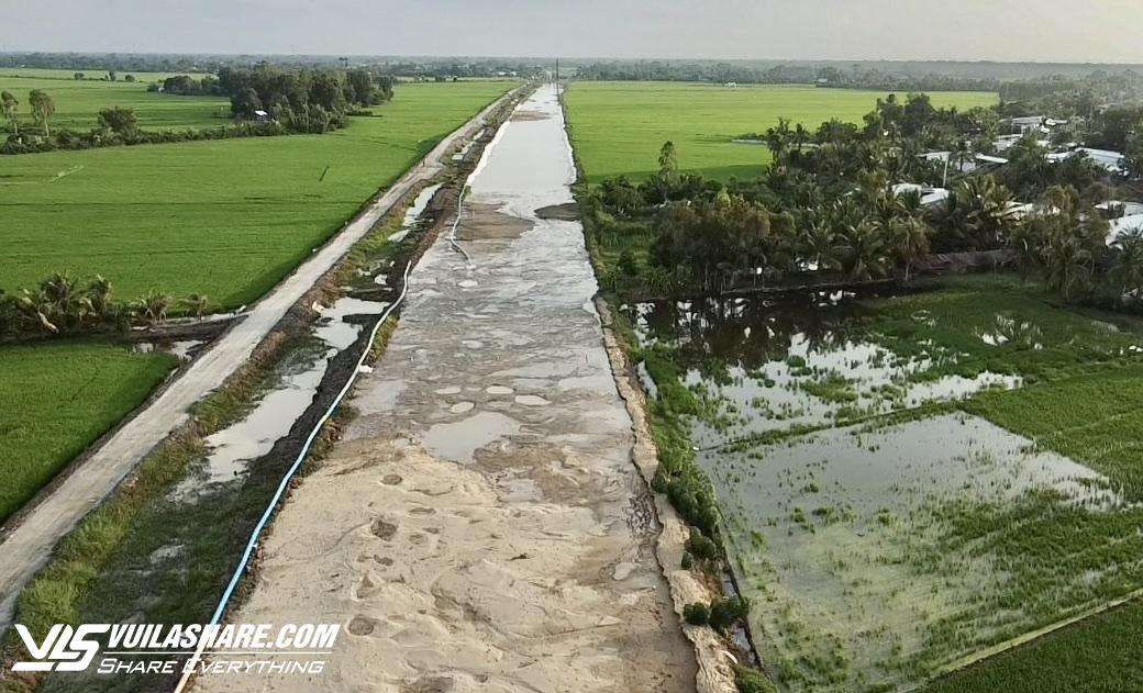 Có hay không việc 'xé rào' dùng cát biển làm cao tốc khiến lúa thiệt hại?- Ảnh 4.