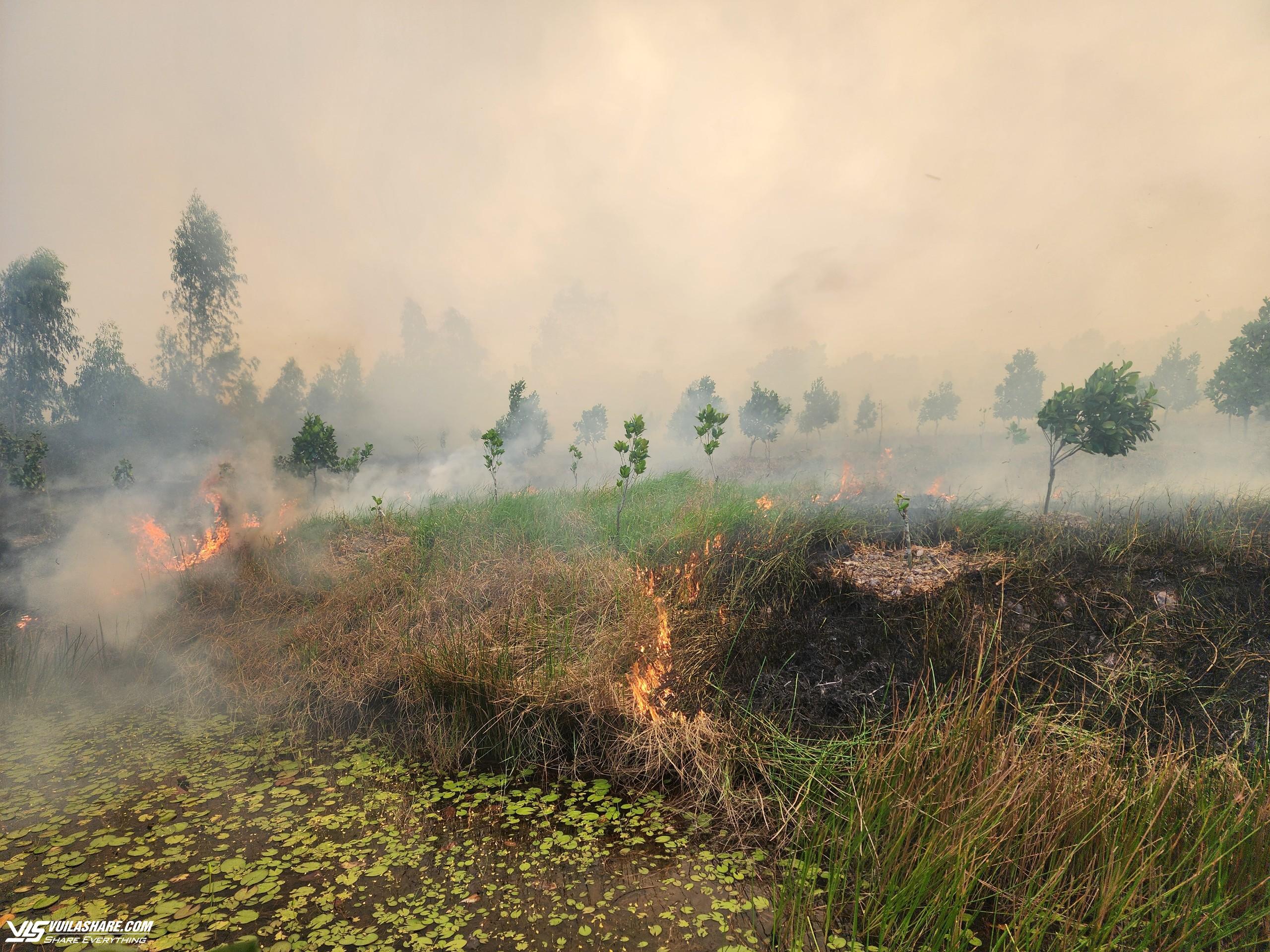 Cháy lớn tại Vườn Quốc gia Tràm Chim- Ảnh 3.