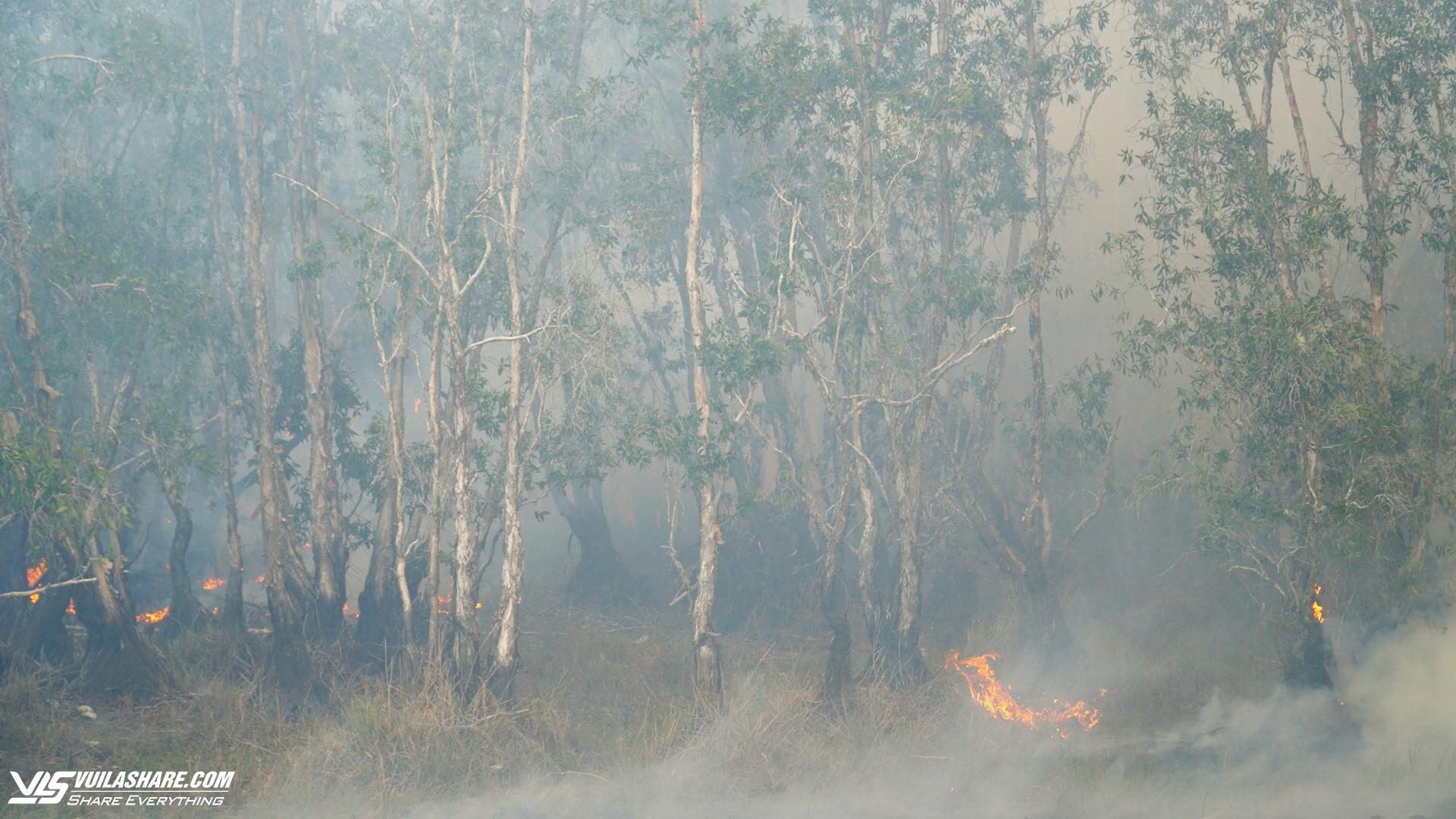 Điều tra, xử lý nghiêm người gây cháy rừng ở Vườn quốc gia Tràm Chim- Ảnh 1.