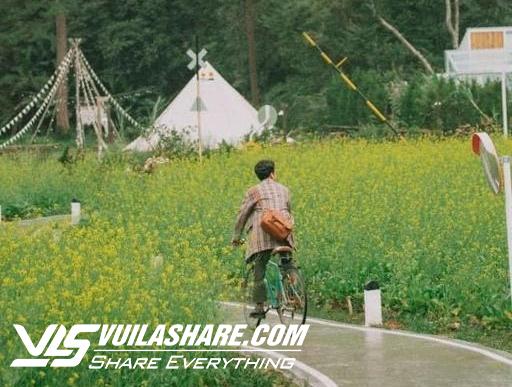 Điểm danh những điểm đến thân thiện với du khách mê đạp xe ở Việt Nam- Ảnh 3.