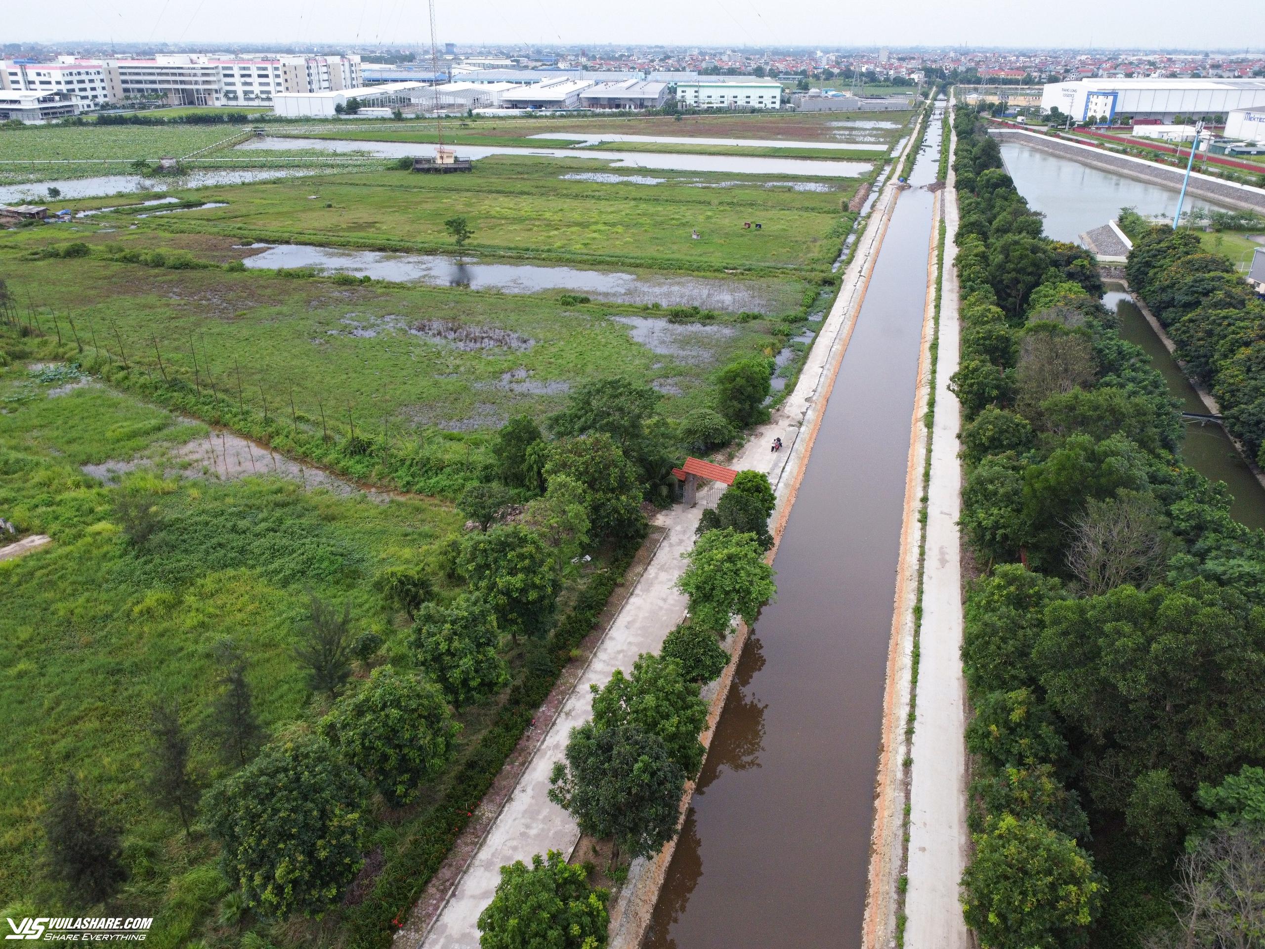 Nước thải khu công nghiệp nhuộm hồng con kênh đổ ra sông Bắc Hưng Hải- Ảnh 4.