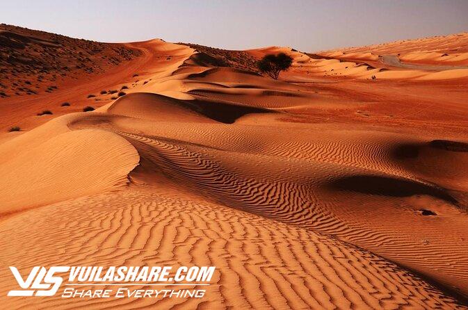 Cưỡi lạc đà, cắm trại dưới trời đầy sao tại sa mạc của Oman- Ảnh 2.