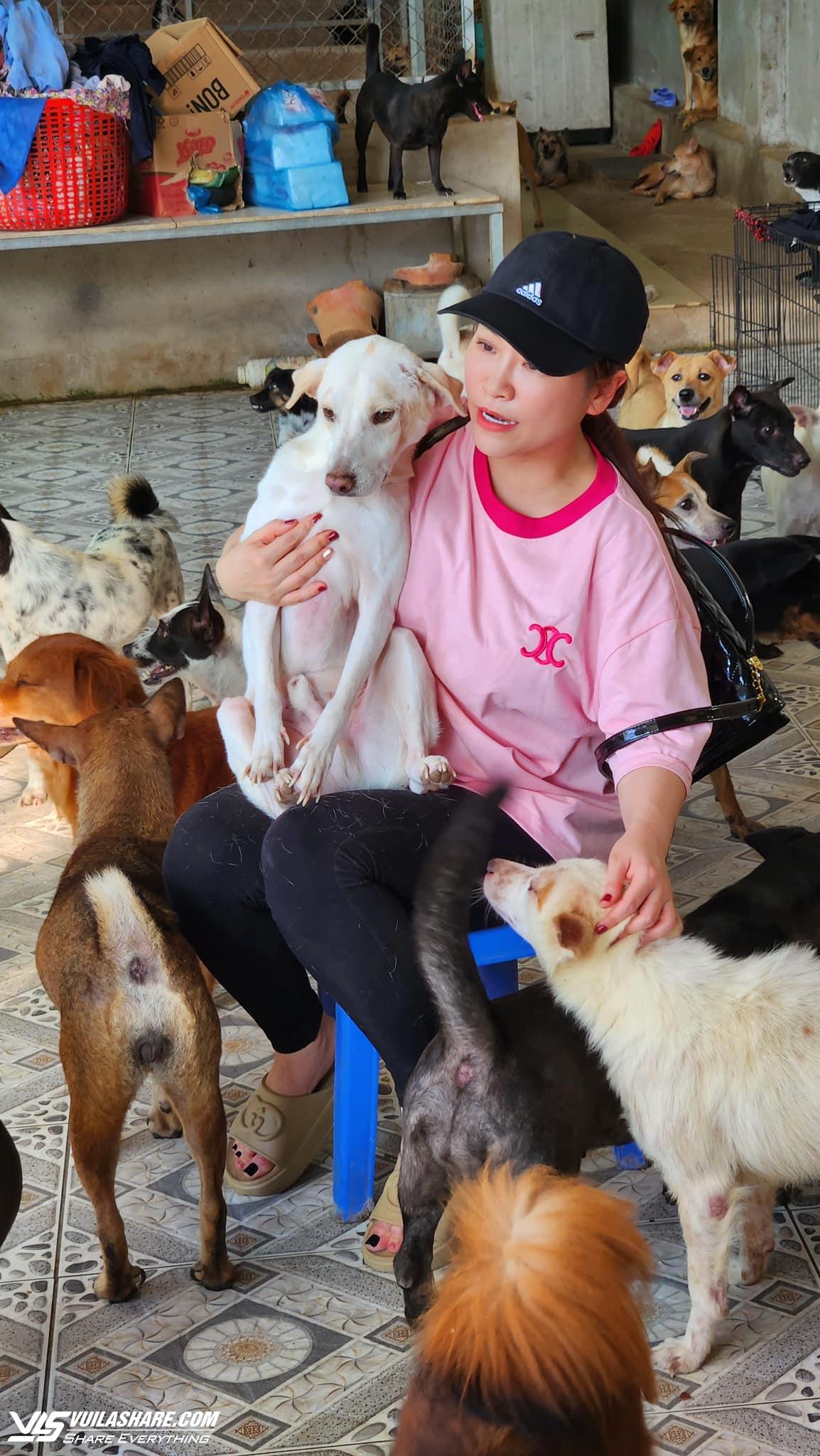 Kiều Linh chi 100 triệu mỗi tháng nuôi gần 400 con chó bị bỏ rơi- Ảnh 2.