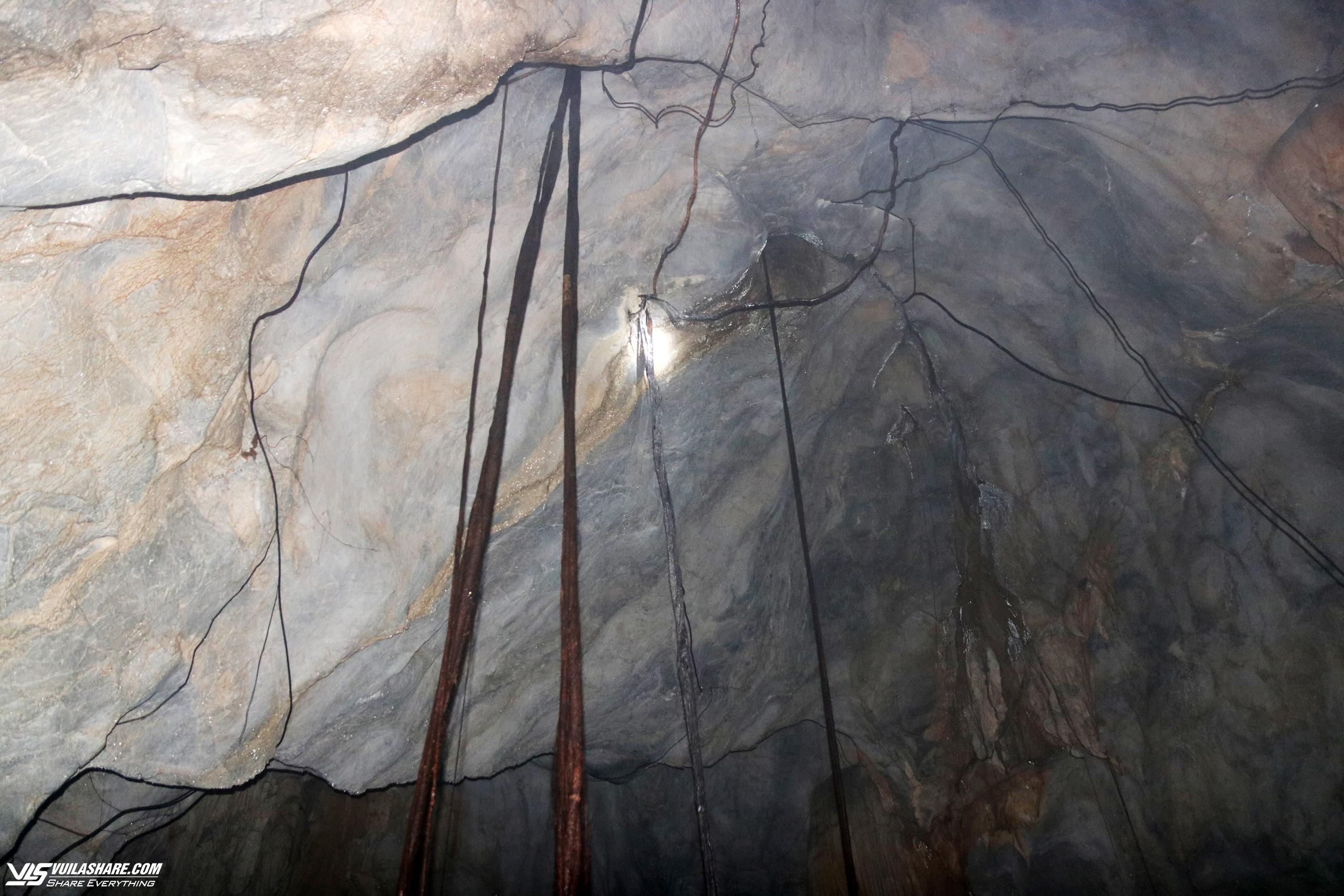 Khám phá hang động kỳ thú nằm giữa rừng ngập mặn biển Cát Bà- Ảnh 11.