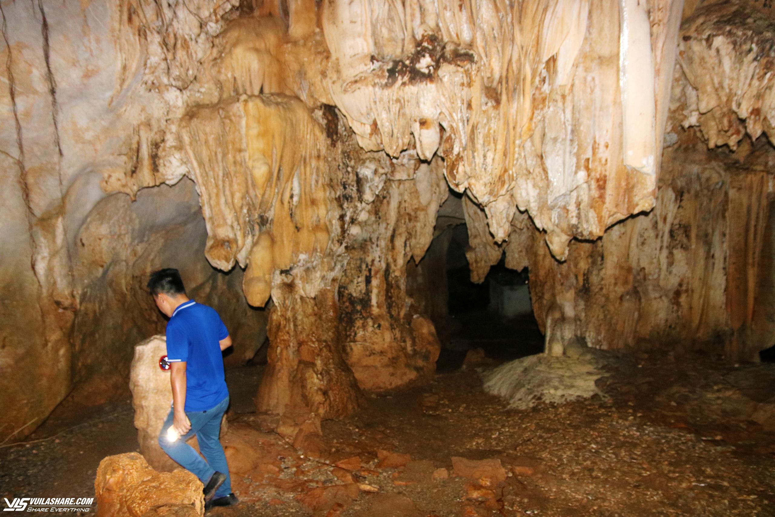 Khám phá hang động kỳ thú nằm giữa rừng ngập mặn biển Cát Bà- Ảnh 12.