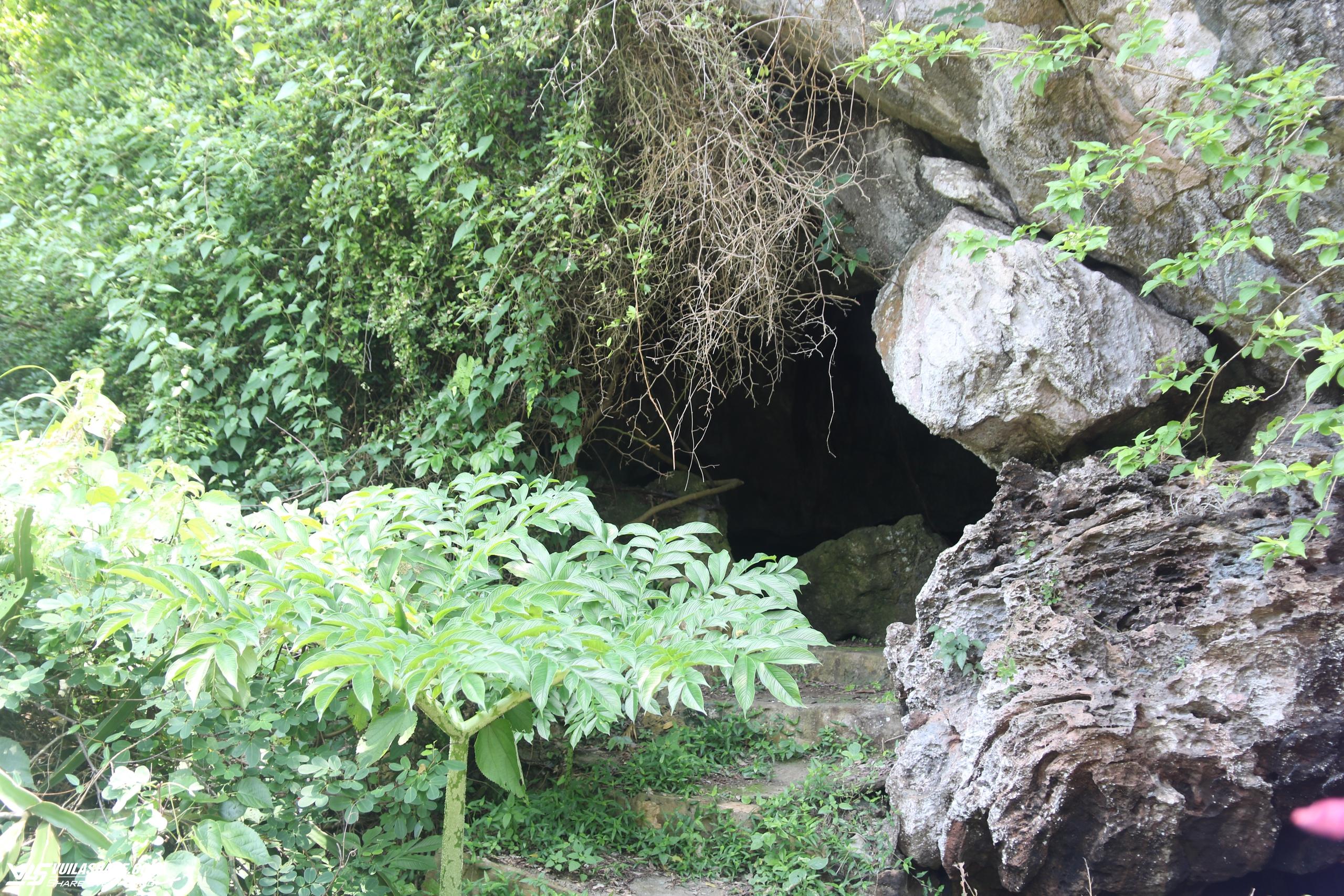 Khám phá hang động kỳ thú nằm giữa rừng ngập mặn biển Cát Bà- Ảnh 4.
