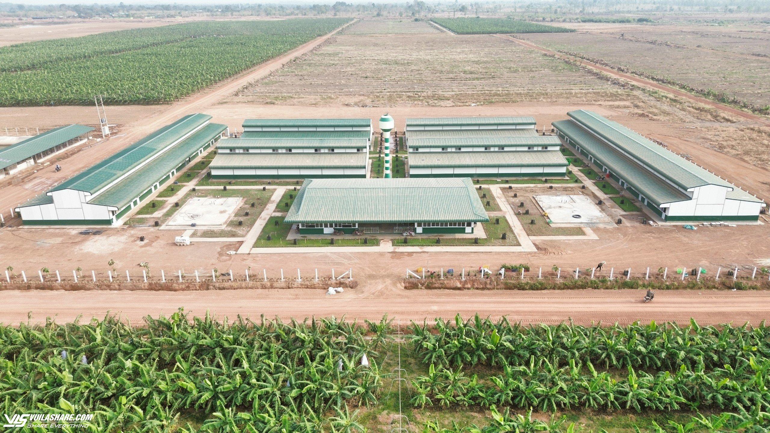 THACO AGRI đầu tư cơ sở vật chất, chăm lo đời sống người lao động- Ảnh 1.