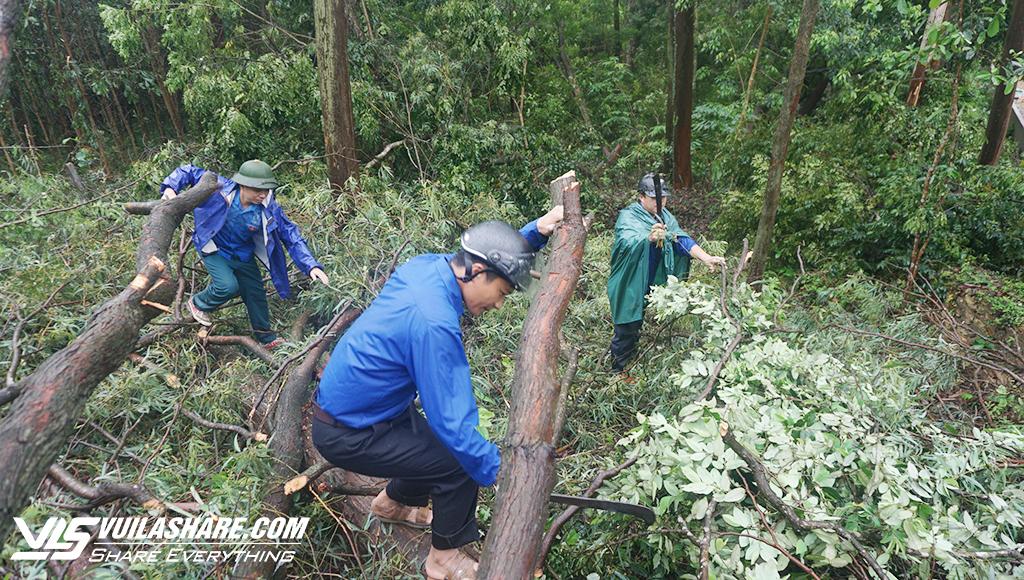 Leo đồi, vượt núi hỗ trợ thi công đường dây 500 kV mạch 3- Ảnh 1.