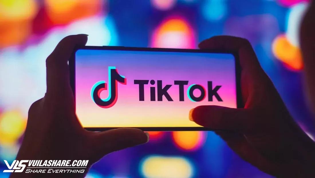 TikTok tiết lộ từng đề xuất giải pháp đột phá cho chính phủ Mỹ- Ảnh 1.