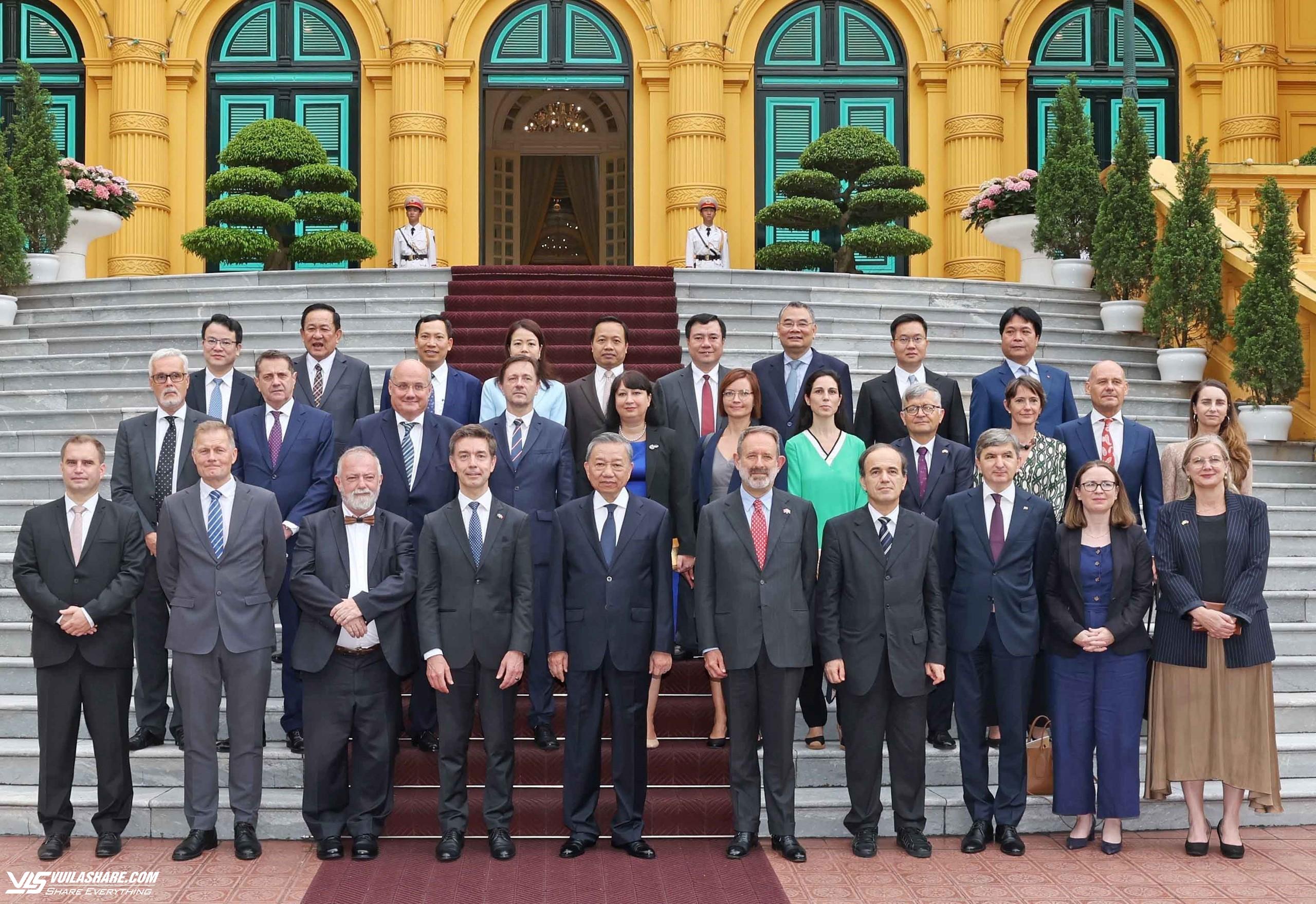 Chủ tịch nước Tô Lâm tiếp Đại sứ các nước EU- Ảnh 1.