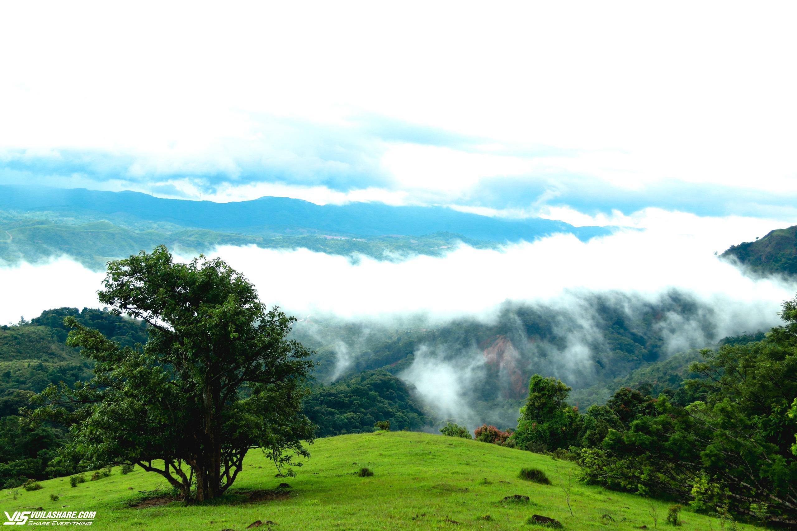 Khám phá thảo nguyên xanh ngắt giữa bốn bề núi rừng Quảng Trị- Ảnh 10.