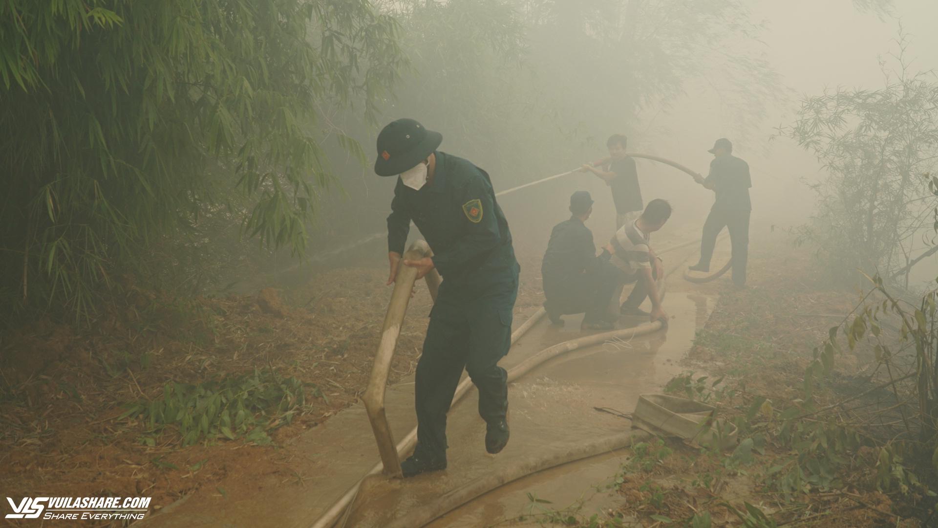 Điều tra, xử lý nghiêm người gây cháy rừng ở Vườn quốc gia Tràm Chim- Ảnh 2.
