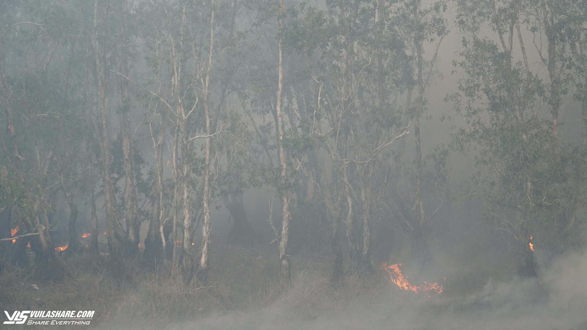 Cháy lớn tại Vườn Quốc gia Tràm Chim- Ảnh 1.