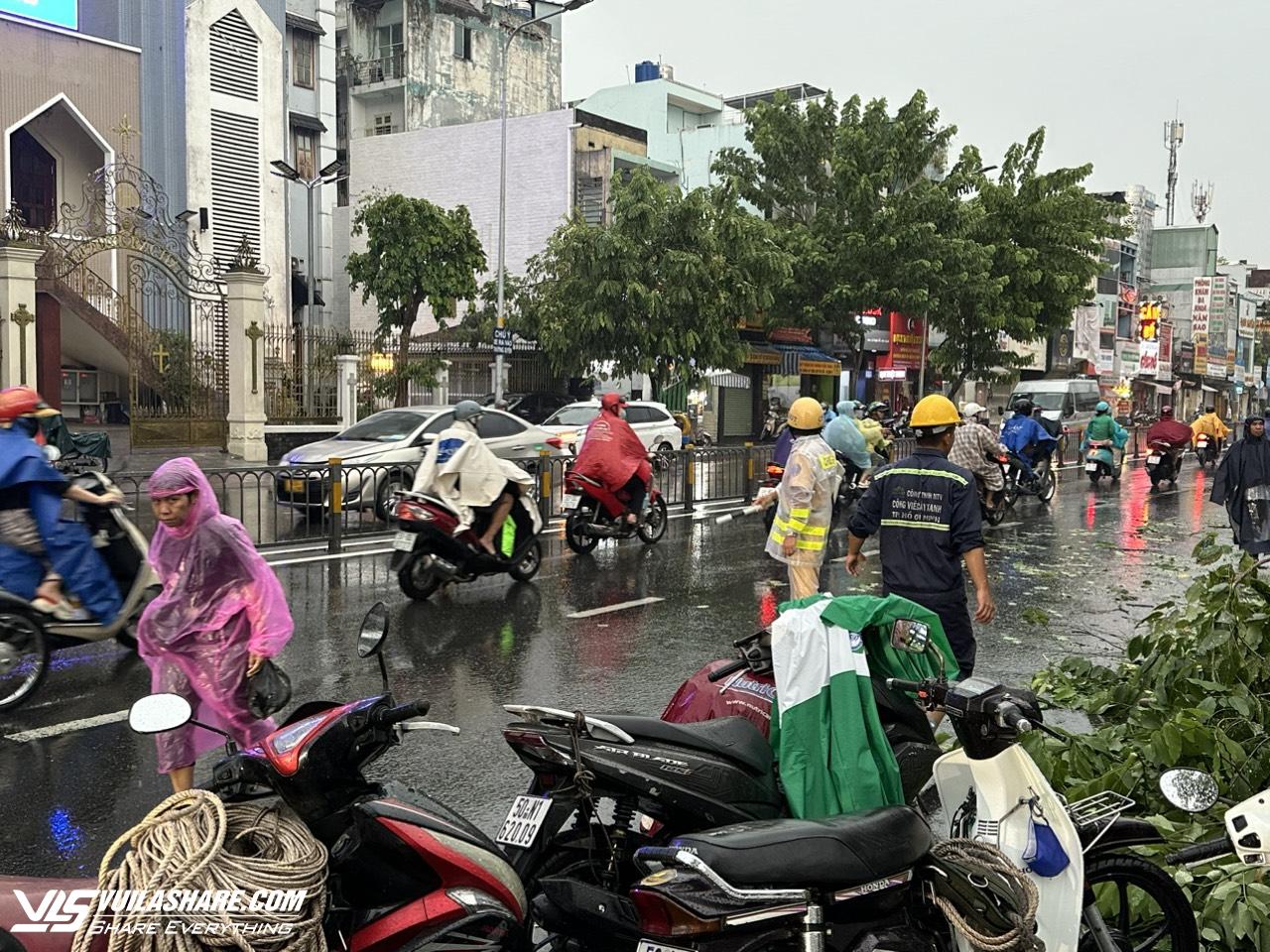 TP.HCM sau trận mưa đá: Hàng loạt cây xanh ngã đổ- Ảnh 2.